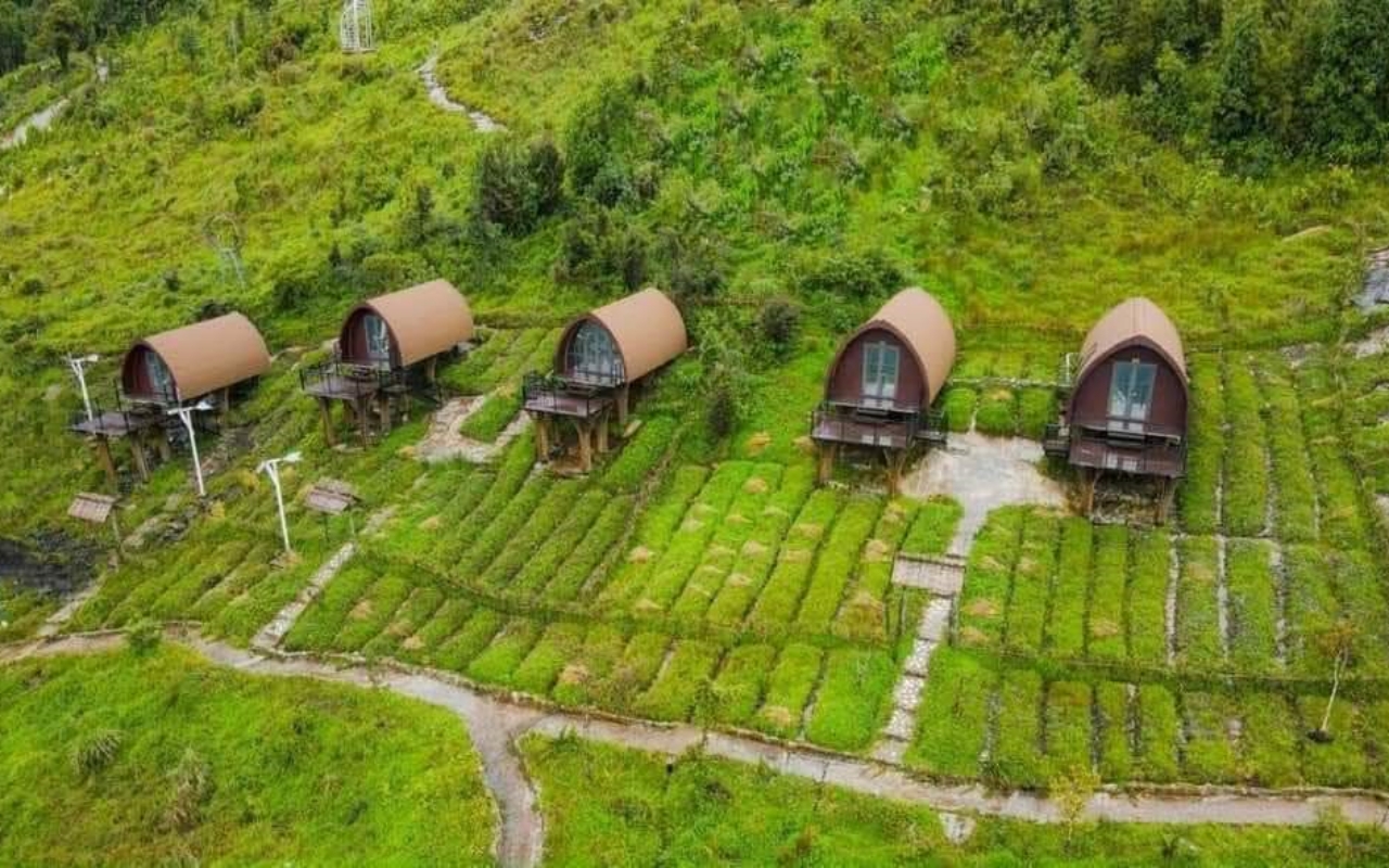 Tất Tần Tật về Cầu Kính Rồng Mây Sapa