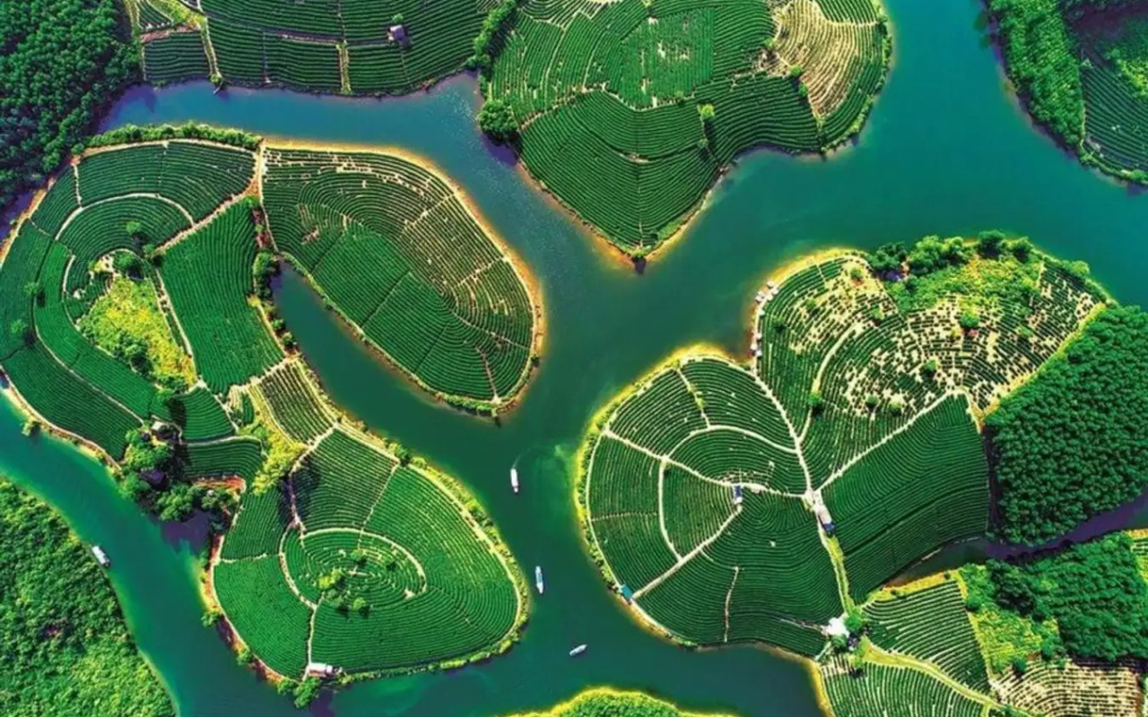 Đảo chè Thanh Chương - Getgo Trip