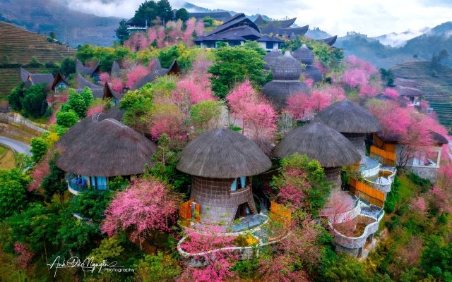 Garrya Mù Cang Chải Resort 1