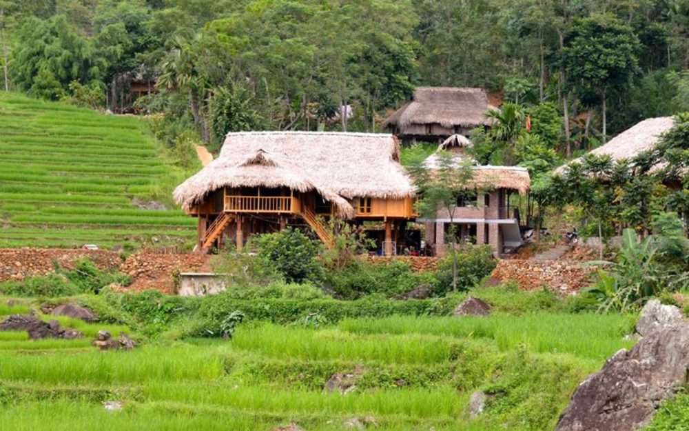 Puluong Retreat Thanh Hóa - Nhà sàn lớn